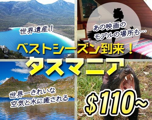タスマニア特集
