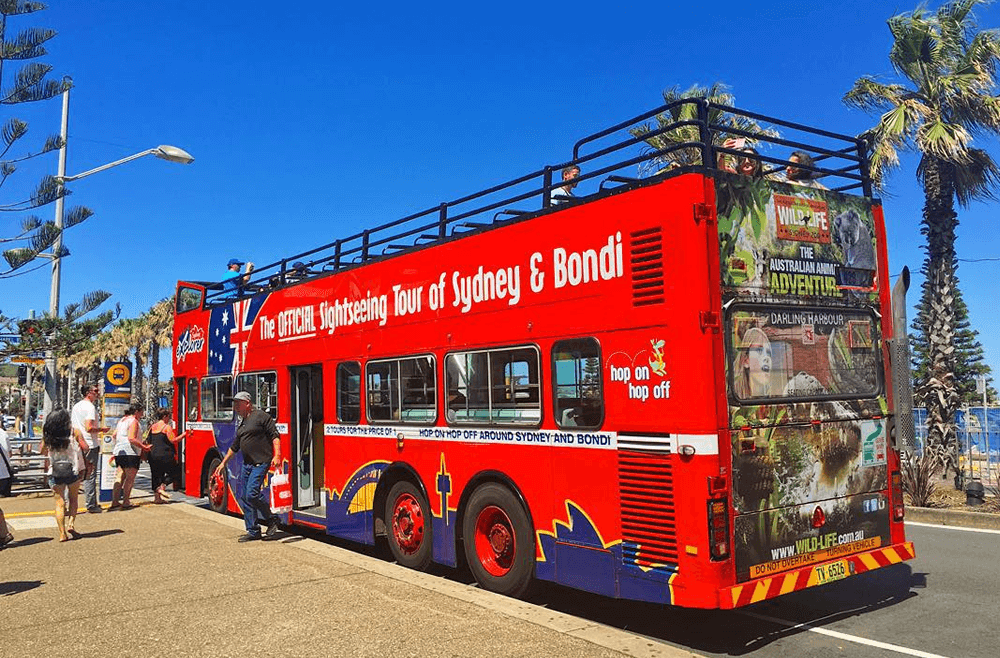 ボンダイエクスプローラー