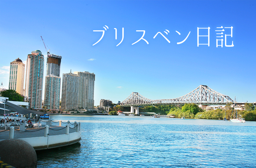 ブリスベン日記12（クリスマスライト編）