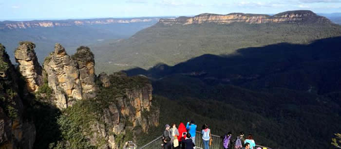 ブルーマウンテンツアー