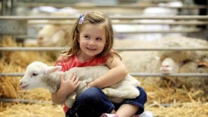 thumb_3636__tour_thumb_740