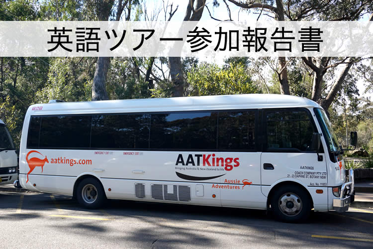 2週間だけトラトラでインターンシップをしている大学生が書いたブルーマウンテン英語ツアー参加報告書