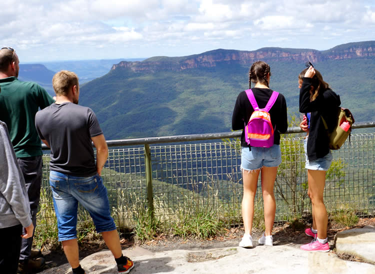 ブルーマウンテン英語ツアー