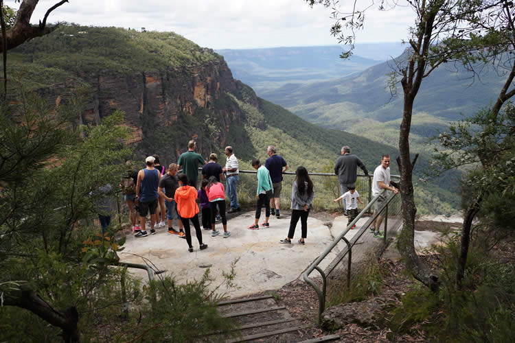 ブルーマウンテン英語ツアー