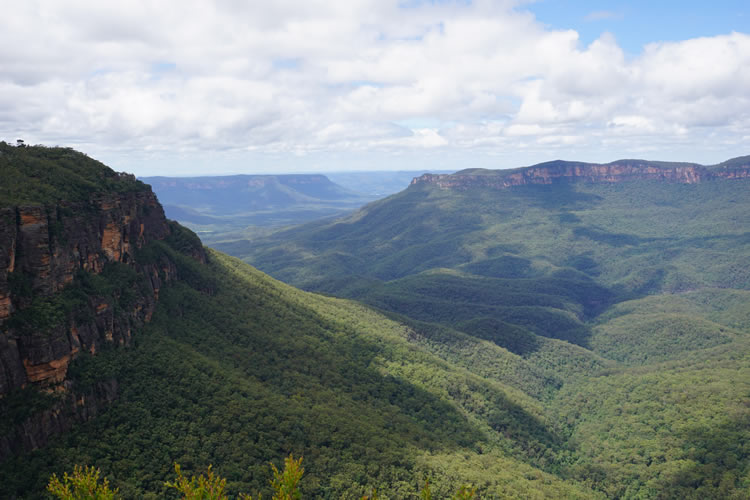 世界遺産ブルーマウンテン