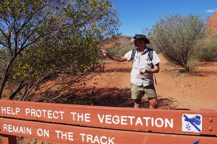 キャンプツアーのツアーガイドさん