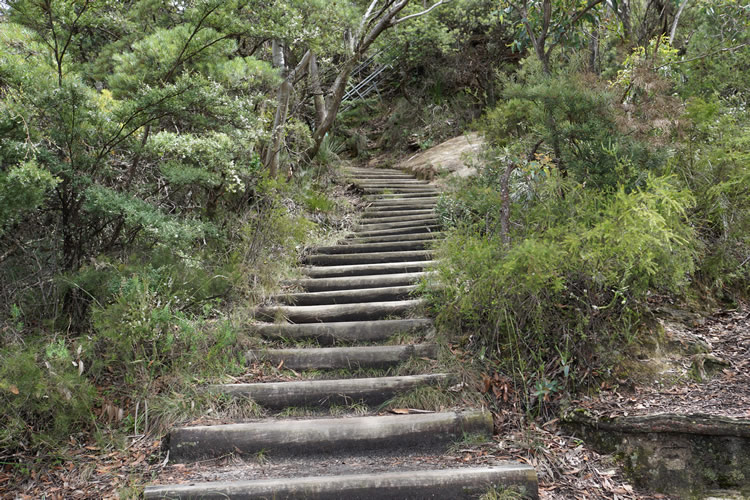 ブルーマウンテン英語ツアーハイキング