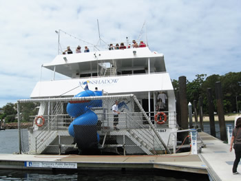 結構デカイ！