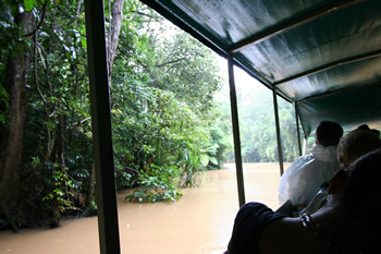 熱帯雨林をアーミーダックで爆走