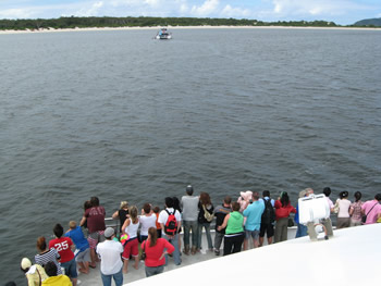 イルカクルーズ