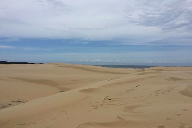 サンドボーディング