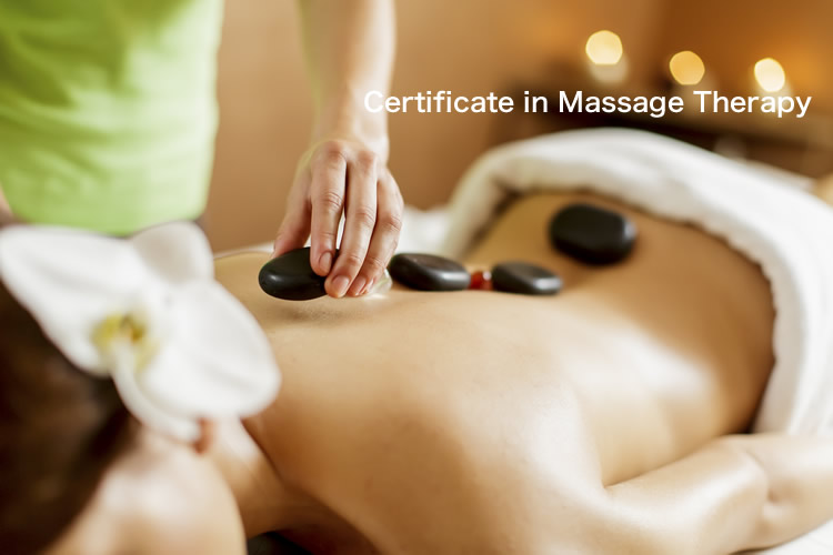 目指せ独立！体育会系に人気がある専門コースを紹介　