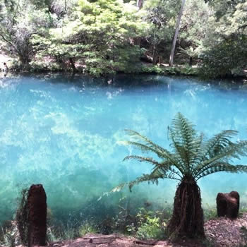 ブルーマウンテンのブルーレイク