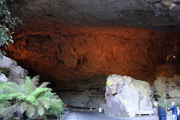 ジェノランケーブ