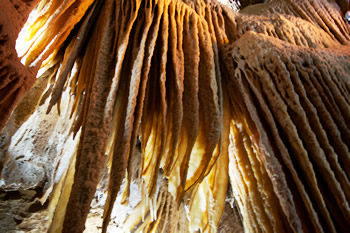 鍾乳洞4