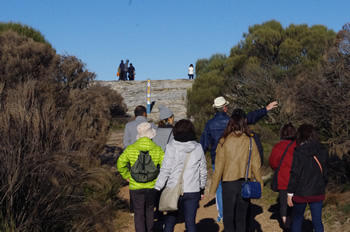 ジャックさんツアーキングステーブル