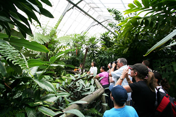 バタフライサンクチュアリ