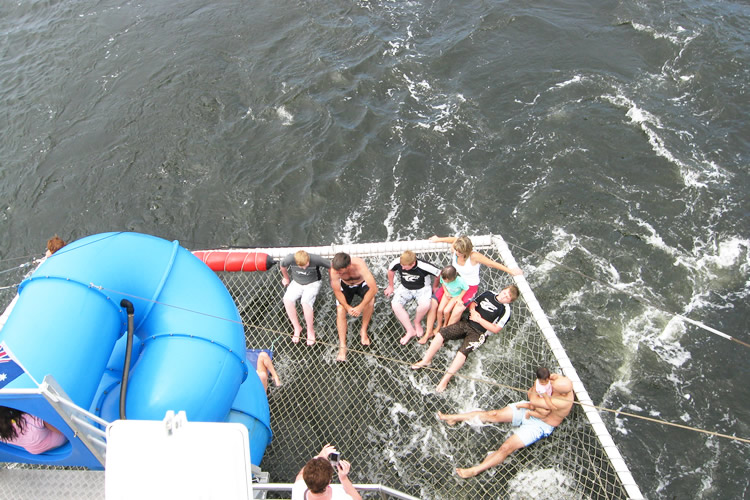 イルカと泳ぐ