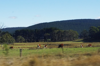 ジャックさんツアーの車窓の窓から