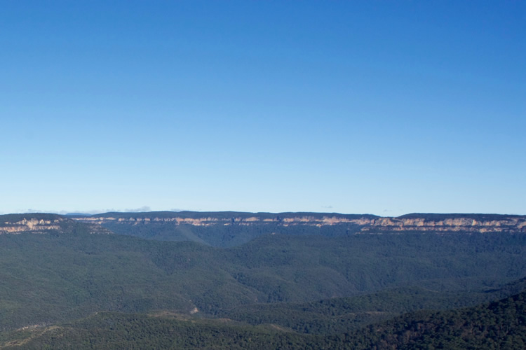 ブルーマウンテン