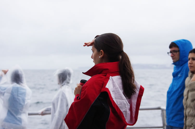 ツアーガイド