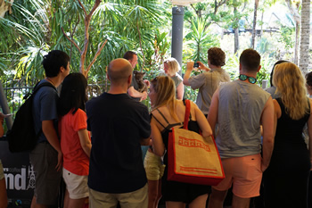 子供も大喜び