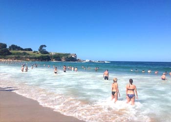 シティからすぐに行ける、Bondi Beach(ボンダイビーチ)