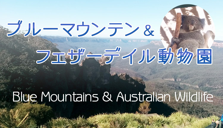 【世界遺産ブルーマウンテンズ＆ワイルドライフパーク】 AATKingsの英語ツアーに参加しました！