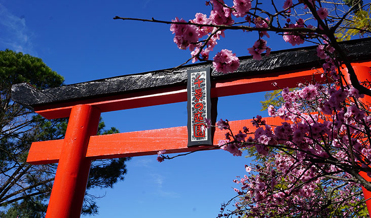 torii2