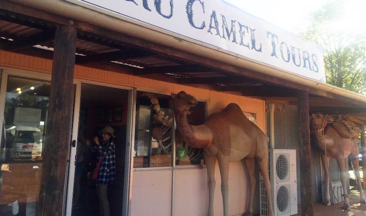 camelhouse