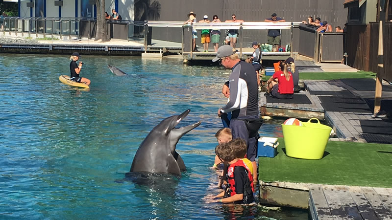 ゴールドコーストのテーマパーク3選!子供も大人も楽しめる!