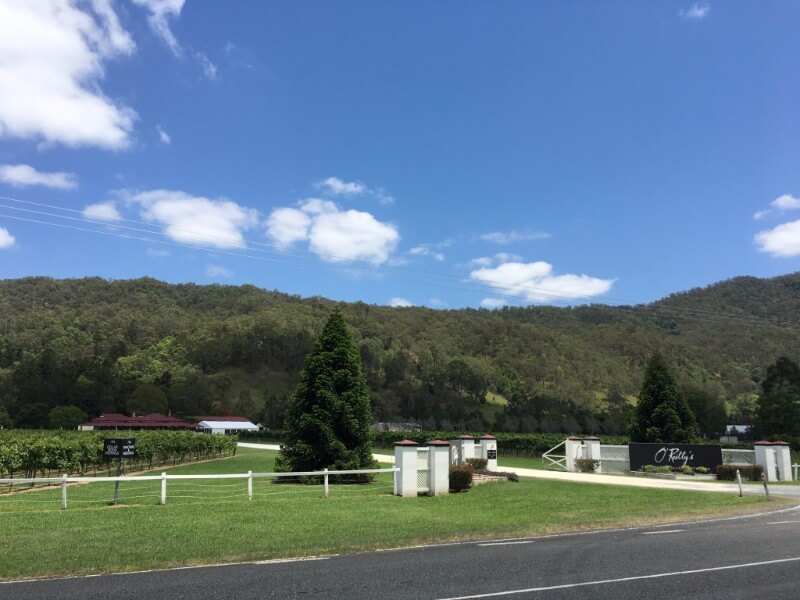 unadjustednonraw_thumb_45f