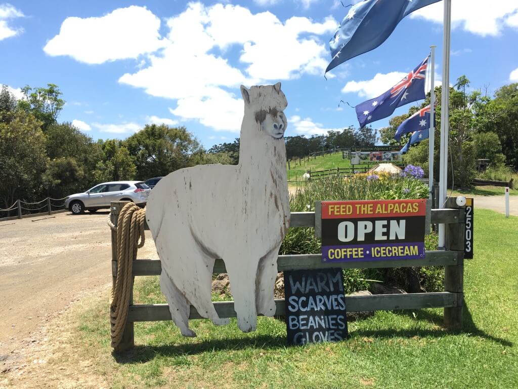 unadjustednonraw_thumb_476