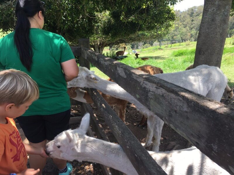 unadjustednonraw_thumb_48d