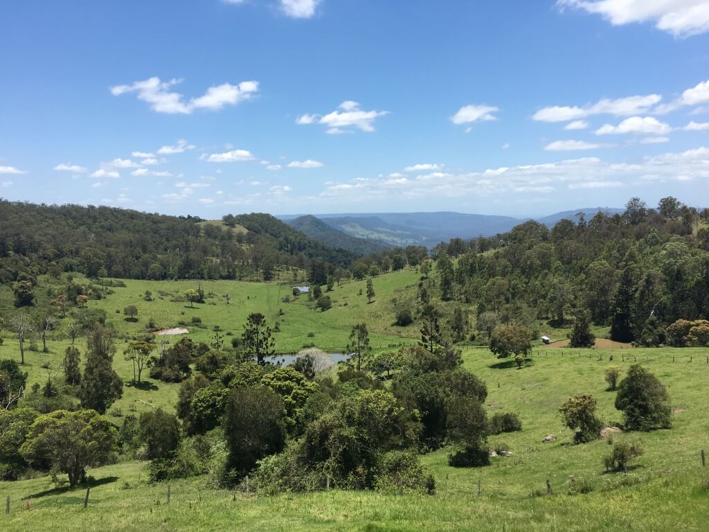 unadjustednonraw_thumb_493