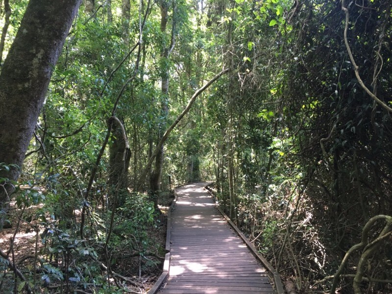 unadjustednonraw_thumb_4ae