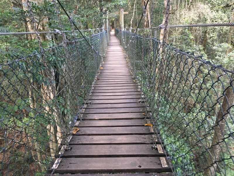 unadjustednonraw_thumb_4b8