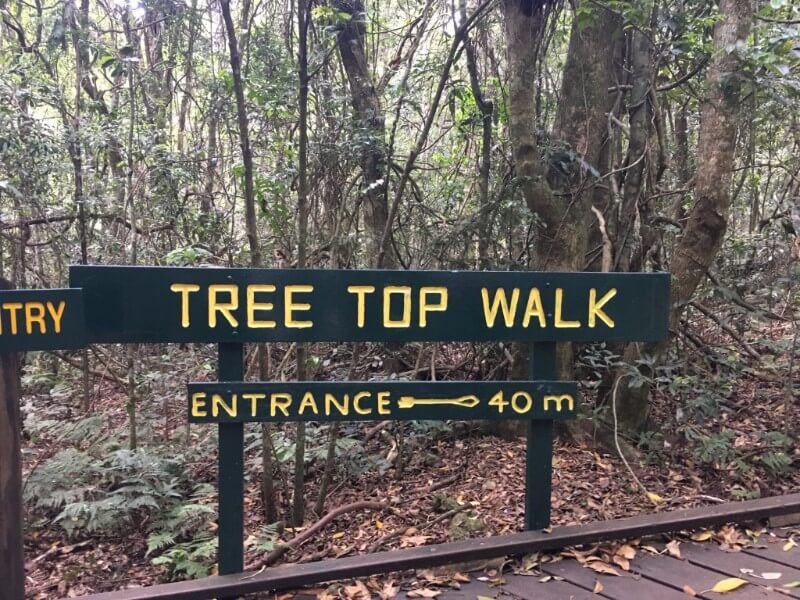 unadjustednonraw_thumb_4bf