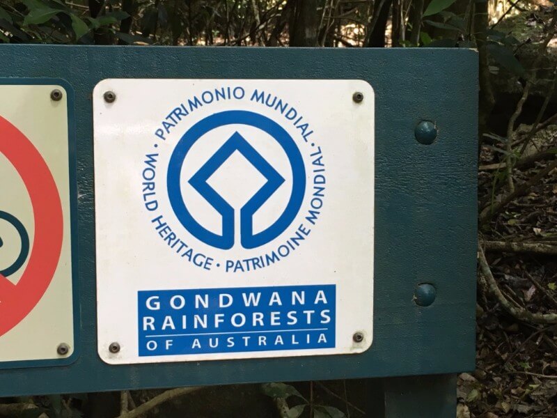 unadjustednonraw_thumb_4d6