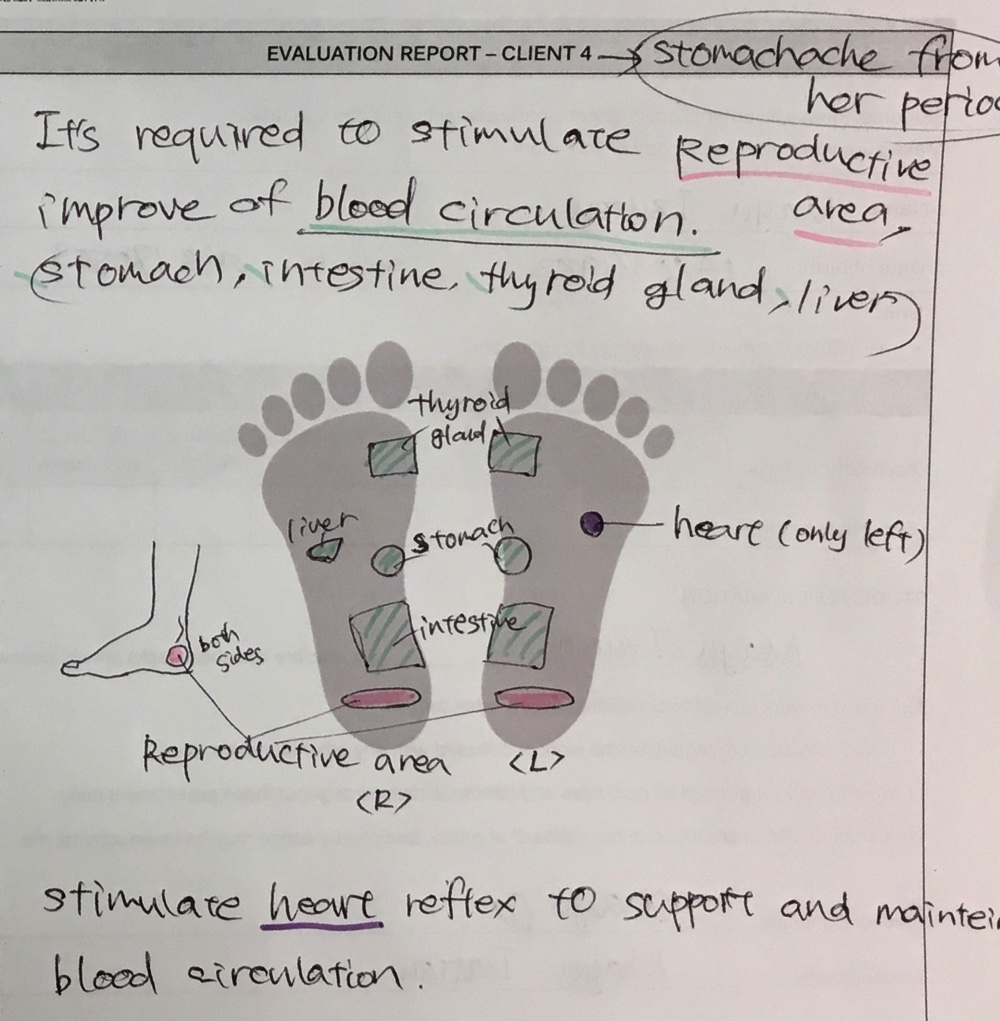 ターム2 – マッサージ学校でビザを延長することになりました その5