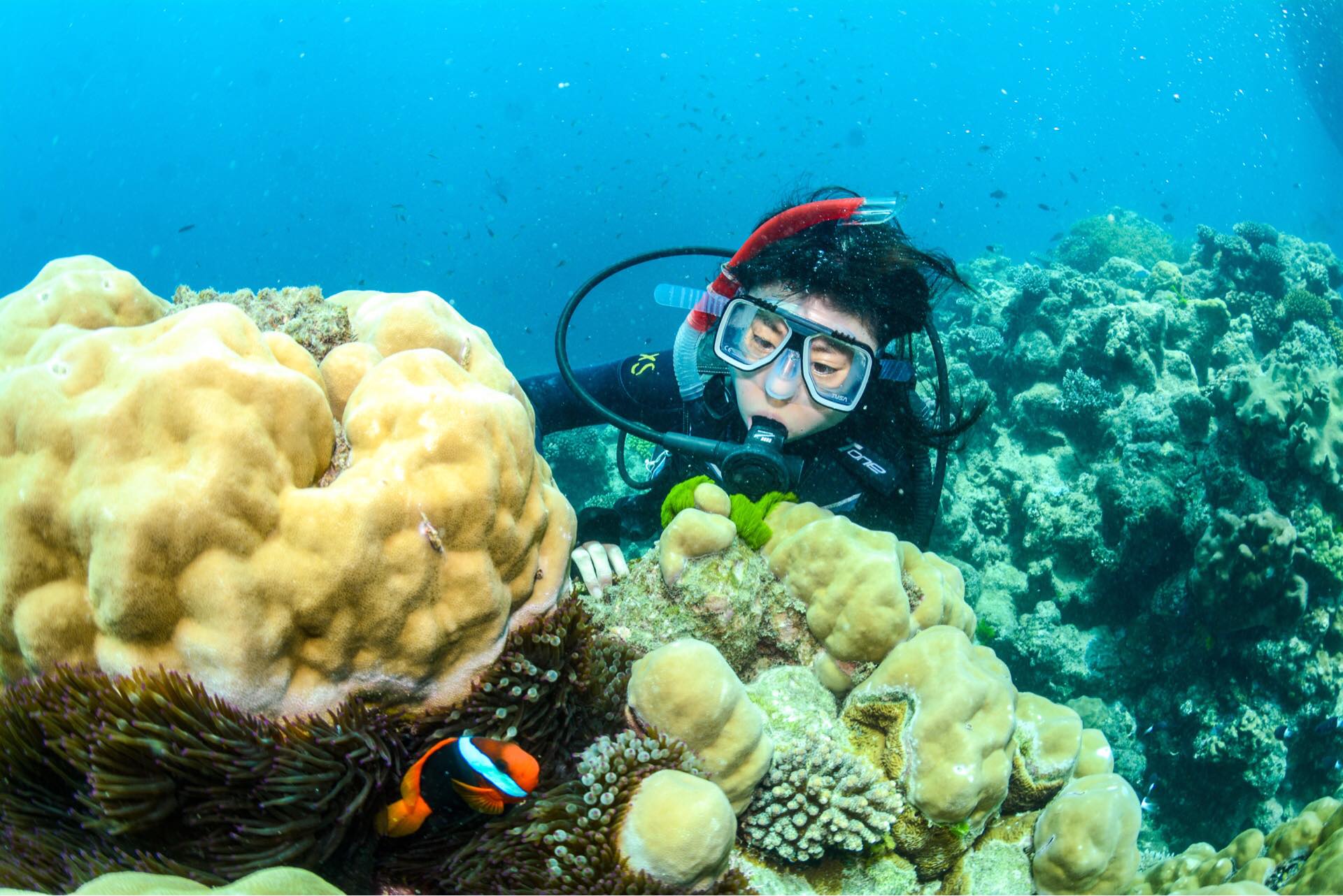 世界遺産グレートバリアリーフへシュノーケリング+体験ダイビングに行ってきました!