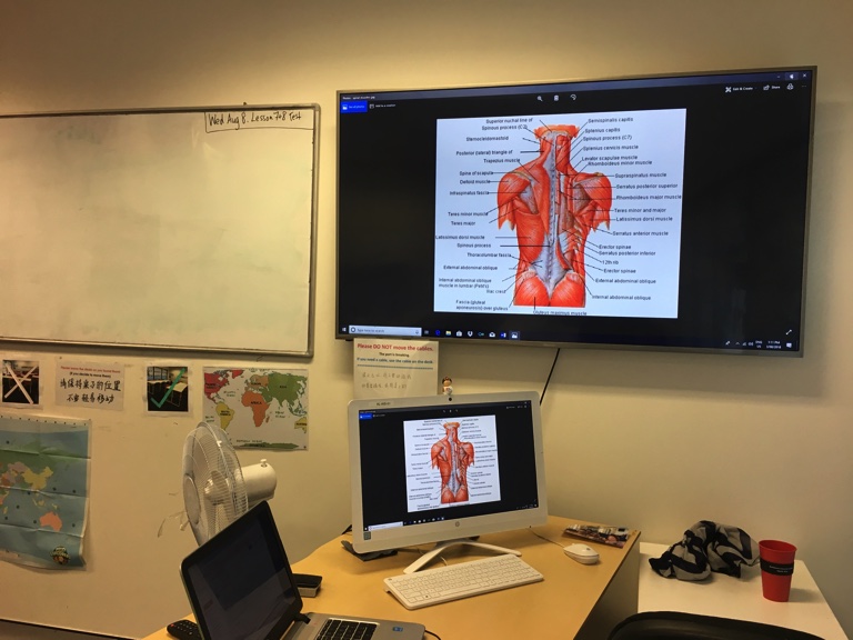 Remedial Massage – マッサージ学校でビザを延長することになりました その6