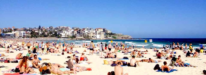 オーストラリア領事館メルマガ