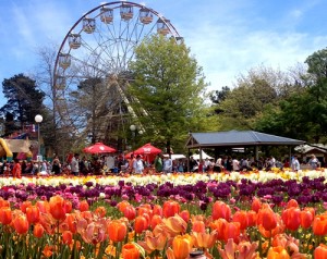 フロリアーデ2014