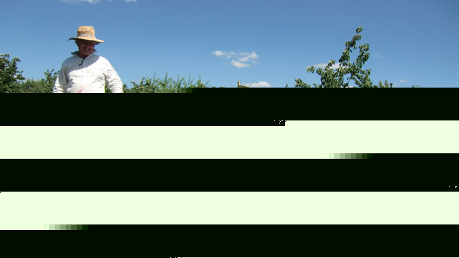 wwoof　オーストラリア